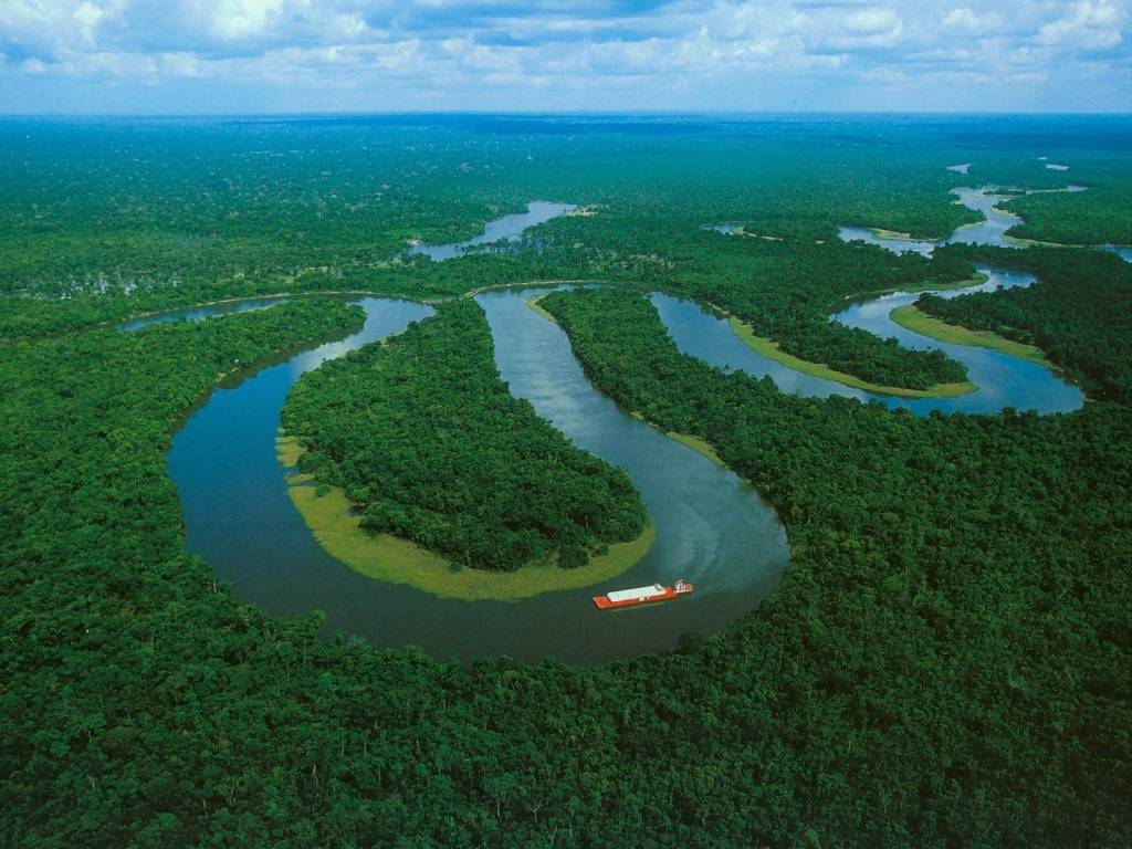 Brésil : Pourquoi la déforestation chute&nbsp;enfin