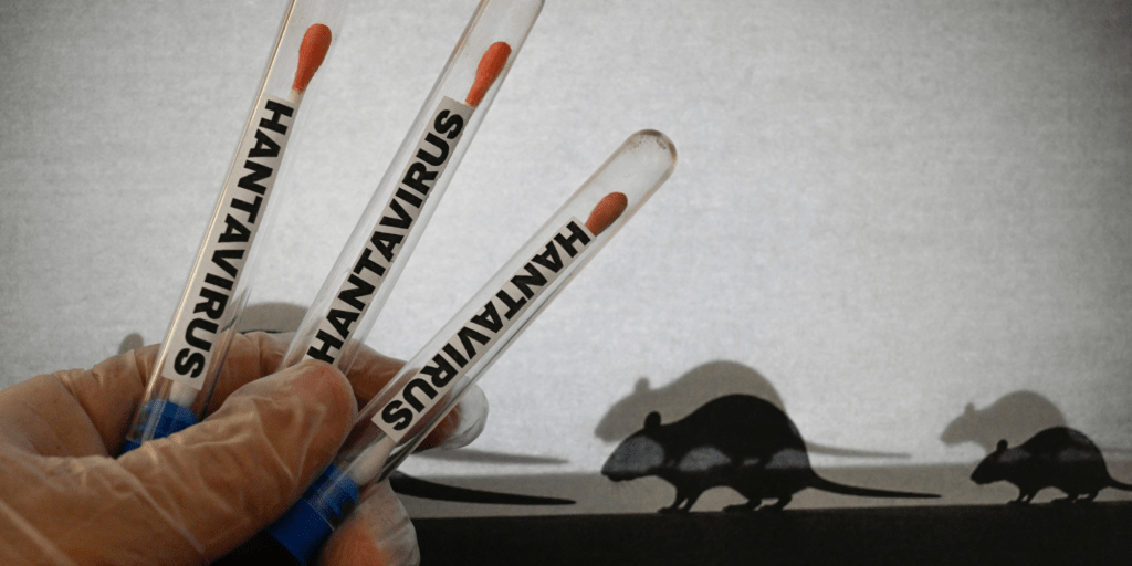 Hantavirus : le patient zéro du Hondius, l&rsquo;enquête sans&nbsp;réponse