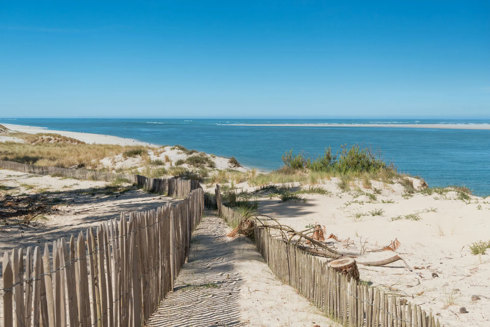 Urgence climatique : Gironde 2050 encore vivable ?